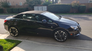 Buick Ebony Twilight Metallic