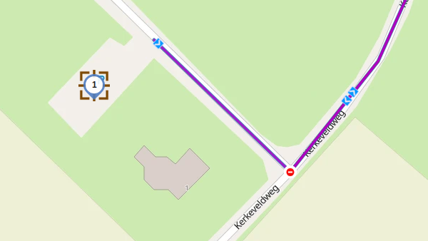 De Grauwe Beer, Beesel